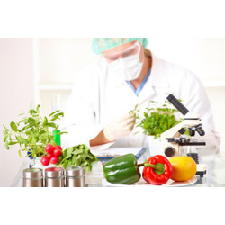 رتبه و تراز قبولی علوم تغذیه دانشگاه آزاد