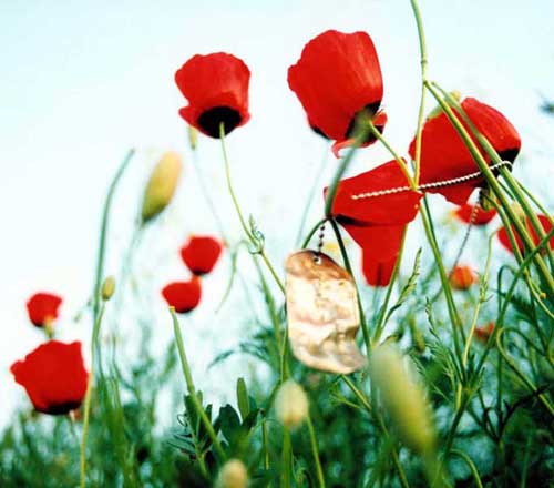 ایثارگر